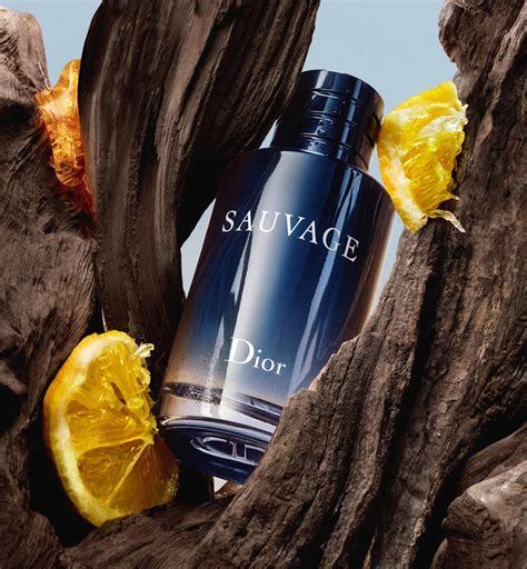 sauvage de dior eau de toilette|sauvage eau de toilette 200ml.